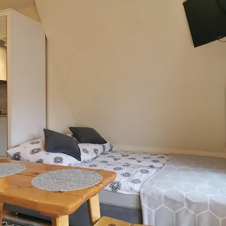 Gæstehus I U Ireny 3*